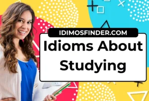 Idioms About Studying
